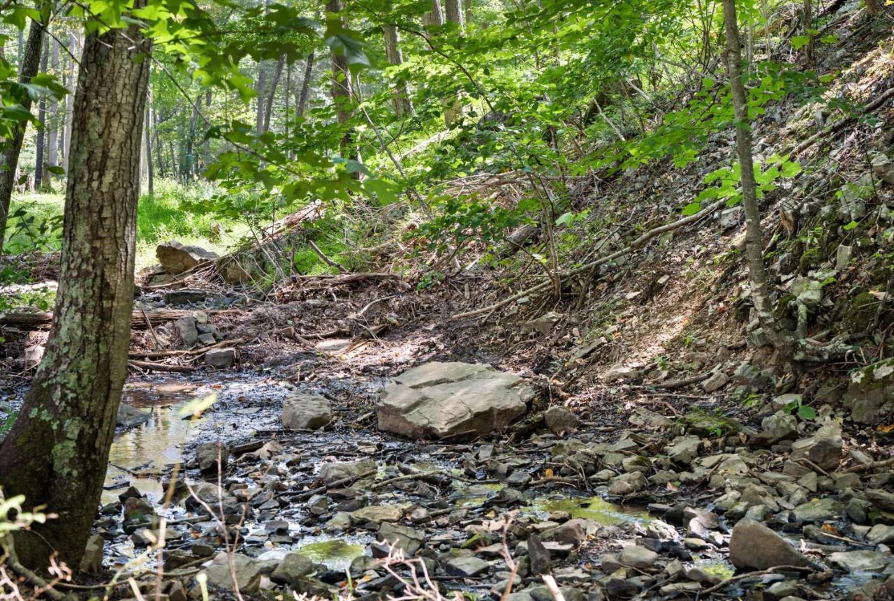 River Access W Hot Tub, Grill, Wifi, & Fire Pit! Lost City Exterior foto